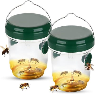 Hoornaar Val - Hoornaarval Aziatische - Wasp Trap - Transparant/Groen - Natuurlijke Vangst - Eenvoudig in Gebruik - Voor Buiten