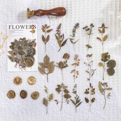 40 stuks/pak Vintage Gedroogde bloem Blad specimen Stickers esthetisch Creativiteit Decor Junk Journal Scrapbooking Benodigdheden