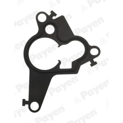 Pakking vacuümpomp  PAYEN KK5754