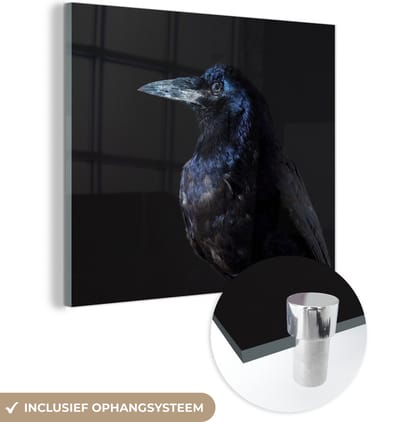 MuchoWow® Glasschilderij 50x50 cm - Schilderij acrylglas - Vogel - Dieren - Zwart - Foto op glas - Schilderijen