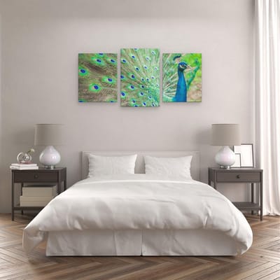 Artaza Canvas Schilderij Drieluik Pauw Met Kleurrijke Veren  - 120x60 - Foto Op Canvas - Canvas Print