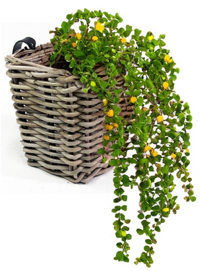Van der Leeden Balkonmand - rotan gevlochten -15 x 15 x 15 cm - bloemen/planten mand - schuttingmand - hangmand - plantenpot - bloempot