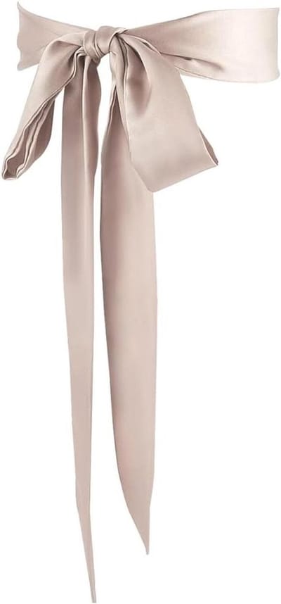 EGoods - Lange Dunne Chiffon Zijde Lichtbruine Sjaals voor Vrouwen | Neck Tie Lint Halsdoek Taille Riem | Kleding Decoratie Bruiloft