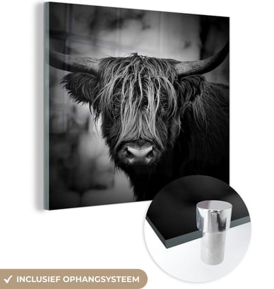 MuchoWow® Glasschilderij 90x90 cm - Schilderij acrylglas - Schotse hooglander - Licht - Portret - Natuur - Foto op glas - Schilderijen