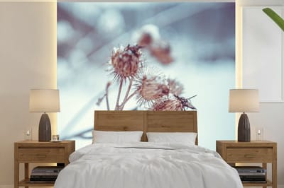 Behang - Fotobehang Planten - Winter - Sneeuw - Natuur - Breedte 220 cm x hoogte 220 cm