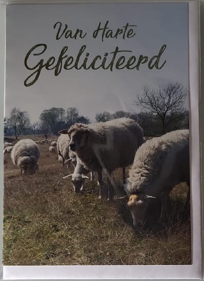 Van harte gefeliciteerd met je verjaardag. Een leuke kaart met schapen in het gras. Een dubbele wenskaart inclusief envelop en in folie verpakt.