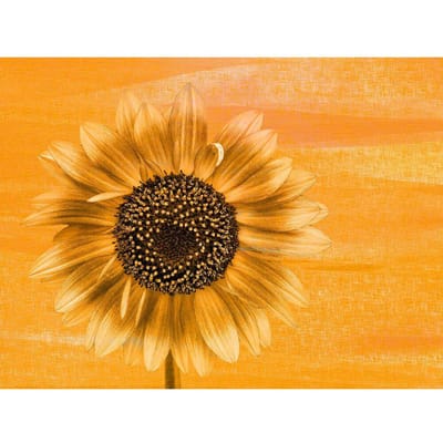 Diamant borduurwerk bloem Strass schilderij zonnebloem foto Diamond schilderij bloem Home Decor 20X30CM beige