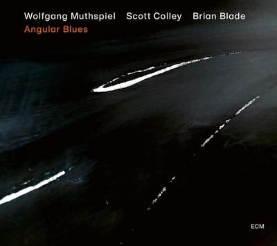 Wolfgang Muthspiel, Scott Colley, Brian Blade - Angular Blues (CD)