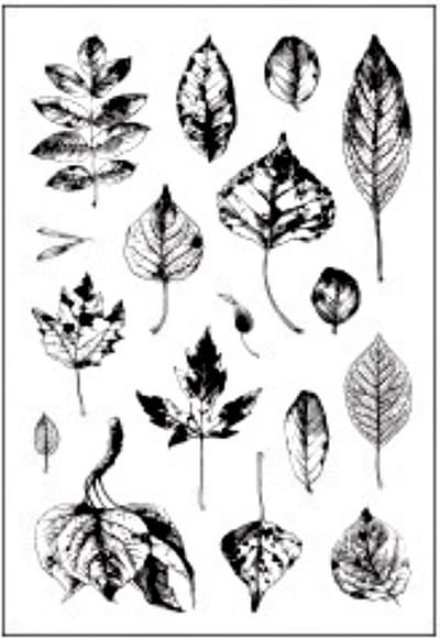 Clearstamps Bladeren / Blaadjes / Leafs Stempels voor o.a bulletjournal, scrapbooking en kaarten maken