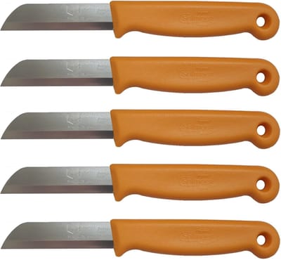 Solingen Schilmesje – RVS Glad – 16 cm met Blade Cover – Oranje – 5 Stuks