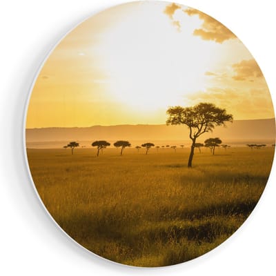 Artaza Forex Muurcirkel Zonsondergang In De Savanne - 60x60 cm - Wandbord - Wandcirkel - Rond Schilderij - Wanddecoratie Cirkel