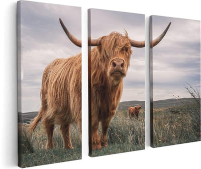 Artaza Canvas Schilderij Drieluik Schotse Hooglander Koeien In De Wei - 120x80 - Foto Op Canvas - Canvas Print
