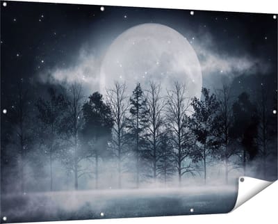 Gards Tuinposter Maan tussen de Bomen in de Nacht - 150x100 cm - Tuindoek - Tuindecoratie - Wanddecoratie buiten - Tuinschilderij