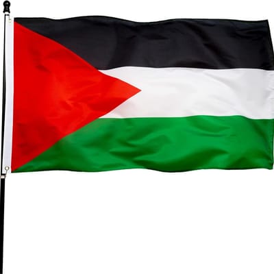 Palestijnse vlag – Kwaliteitsvlag - Geschikt voor buiten - Palestine flag - LOUZIR