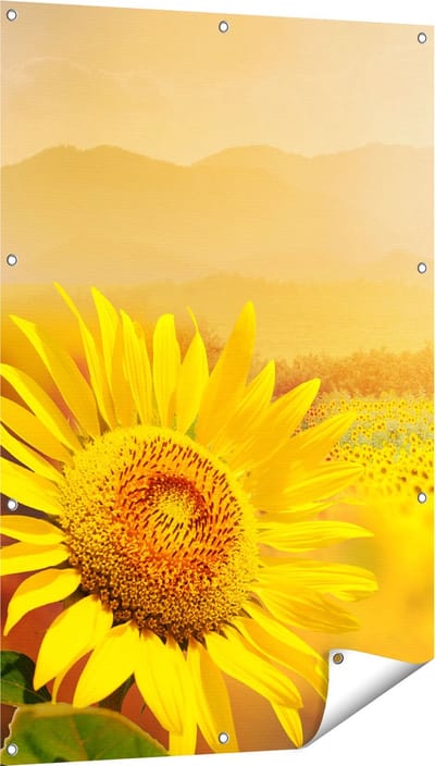 Gards Tuinposter Zonnebloemen Veld met Zonopkomst - 80x120 cm - Tuindoek - Tuindecoratie - Wanddecoratie buiten - Tuinschilderij