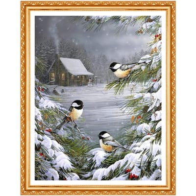 Wintervogels op sneeuw 5D van het diamantschilderij De afbeelding plakt diamantborduurwerk 20X30CM gray