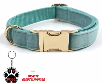 SilverAndCoco® - Groen / Blauwe Blauwe Honden Halsband met Gratis Sleutelhanger | Velvet Hond Puppy Bandje | Hondenhalsband Suède Gouden | Kleding Decoratie | Hondenbandje Huisdier - Groen Blauw / Goud