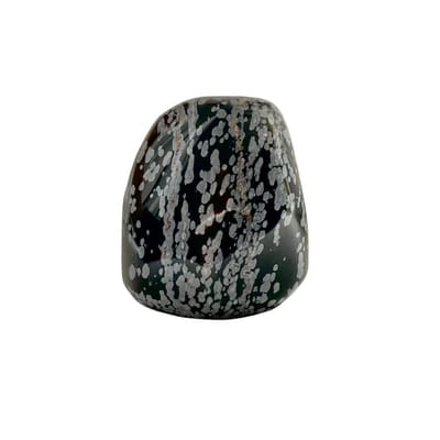 Edel-gedenk-steen Staande Obsidiaan Sneeuwvlok