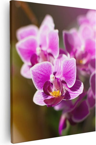Artaza Canvas Schilderij Bloemen - 40x50 cm - Muurdecoratie Orchidee - Wanddecoratie Woonkamer - Kamer Accessoires
