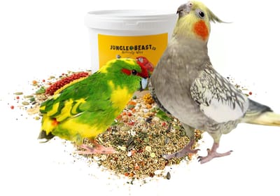 Jungle Beast | Kakariki & Valkparkiet | Scharrelkracht