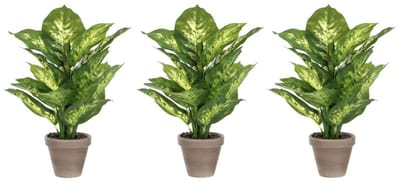 Mica Decorations Kunstplant Dieffenbachia - Voordeelset van 3x stuks - groen - 40 cm - in pot - nepplant - kamerplant