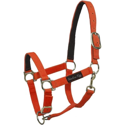 Nylon halster voor paard met leren versterking Umbria Equitazione