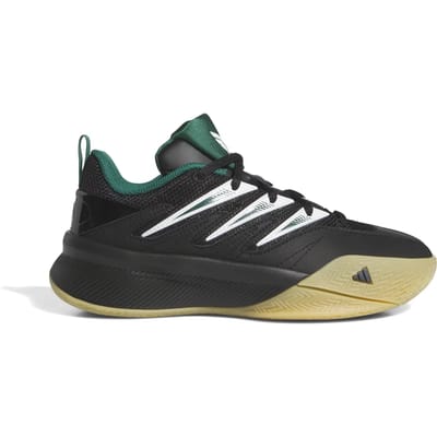 Basketbalschoenen voor kinderen adidas Dame Certified 3