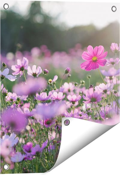 Gards Tuinposter Bloemenveld met Paarse Kosmos - 40x50 cm - Tuindoek - Tuindecoratie - Wanddecoratie buiten - Tuinschilderij