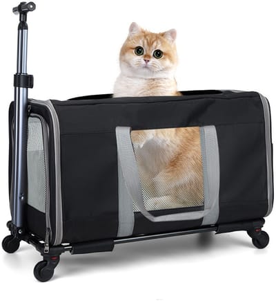 Jently kattenwagen - katten vervoersbox - met wielen - met veiligheidsgordels - voor reizen - dieren transporttas - zwart
