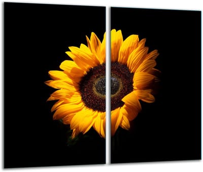 TMK ArtDeko Serie - Glazen Snijplank - 2x 30x52 cm - Bloemmotief - Veilig en Hygiënisch