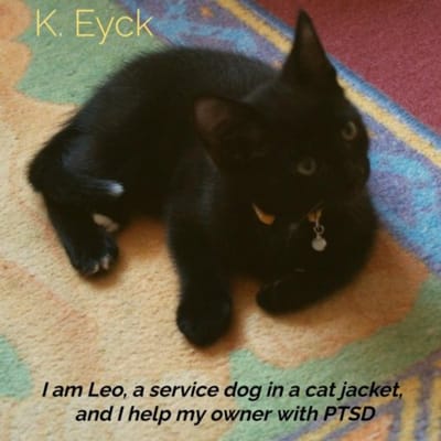 I'm Leo, A Service Dog In A Cat Jacket, And I'm Helping My Owner With Ptsd - K. Eyck