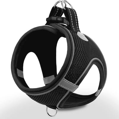 SnelShoppen - Joytale Instapharnas voor Honden - Reflecterend Ademend Tuigje van Zacht Mesh - Easy Walk Harnas met Veiligheidsgesp voor Extra Kleine e