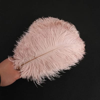 Pakket van 10 Natuurlijke Struisvogelveren 25 - 30 cm voor Creatieve Projecten, DIY Dromenvangers, Feestdecoratie en Kostuums