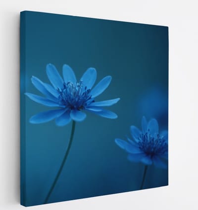 Saammp Canvas Schilderij - Blauwe Bloemen Mystiek - Natuur - Abstract - 20x20 - Foto op canvas - Wanddecoratie - Muurdecoratie Woonkamer - Kantoor Decoratie