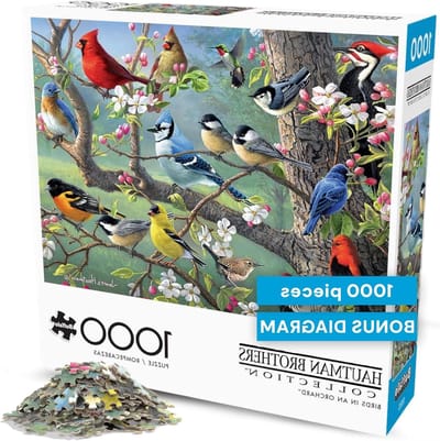 Legpuzzel 1000 stukjes - Jigsaw puzzle Puzzelspel - Ontspanning thuis - Gerecycled puzzelbord - 61 cm x 46 cm - Meerkleurig