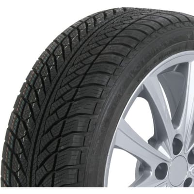 Winterband GOODYEAR Ultra Grip Performance 2 205/50R17 89H