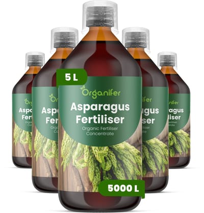 Vloeibare Meststof Voor Asperge 5X1L Voor 5000 L - Npk 2-1-8 - Krachtige Scheutproductie - Scheutdikte - Oogst Kwaliteit - Meerjarige Wortelstokken - Voorjaarsuitloop - Hittebestendig Waterregulatie - Diepe Wortelgroei - Loofgroei - Organifer
