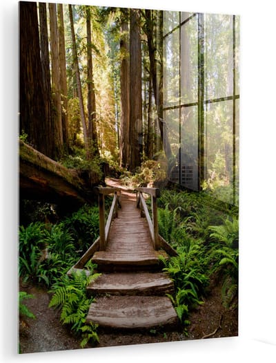 MuchoWow® Glasschilderij 120x160 cm - Schilderij acrylglas - Jungle - Natuur - Trap - Bomen - Foto op glas - Muurdecoratie woonkamer - Wanddecoratie slaapkamer - Schilderijen