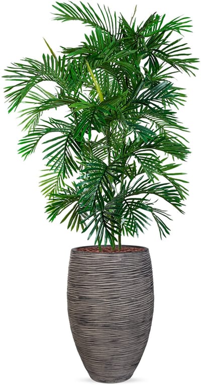 Kunstplant Arecapalm in Vaas elegant Deluxe rib antraciet H215 cm