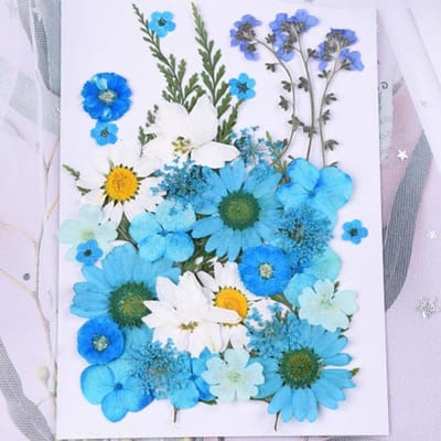 Decoratieve Bloemen - Droogbloemen - Huis Versieren - Gedroogde Hars Decoratie - 4 cm - Gekleurd