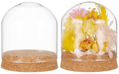 Dailygoods- Glazen Display Dome - 2-delige Set - Tafeldecoratie - Koepel voor Bloemen - Planten - Specimens - Hoogwaardig Glas - 80mm Diameter - Cloche