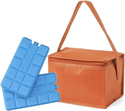 Klein koeltasje - oranje - voor 6 blikjes - inclusief 2x koelelementen - Lunch - Medicijnen - Compacte koeltas - 21 x 15 x 15 cm