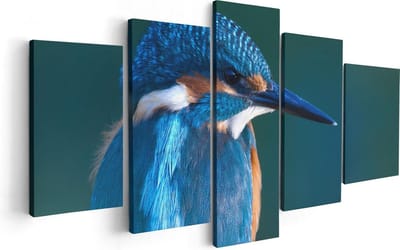 Artaza Canvas Schilderij Vijfluik Blauwe IJsvogel Op Een Tak - 100x50 - Foto Op Canvas - Canvas Print