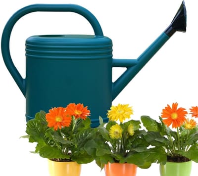 Grote Gieter - Waterkoker Planten - Planten Water Geven - Verstelbaar Mondstuk - 5 Liter - Groen