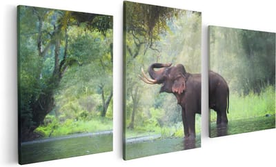 Artaza Canvas Schilderij Drieluik Vrolijke Olifant In Het Water - 120x60 - Foto Op Canvas - Canvas Print