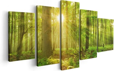 Artaza Canvas Schilderij Vijfluik Groen Bos Met Schijnende Zonnestralen - 100x50 - Foto Op Canvas - Canvas Print