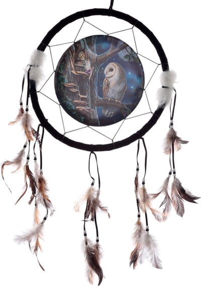 Dromenvanger uil 33cm Lisa Parker - Fairy tales owl and fairy