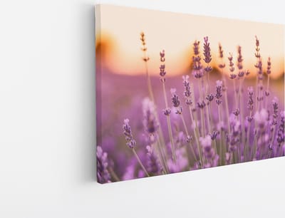 Saammp Canvas Schilderij - Lavendel Close-up - Zonsondergang - Landschap - Natuur - 30x20 - Foto op canvas - Wanddecoratie - Muurdecoratie Woonkamer - Slaapkamer decoratie - Canvas Print