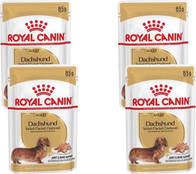 Royal Canin Bhn Dachshund Adult Pouch - Hondenvoer - 4 x 12x85 g