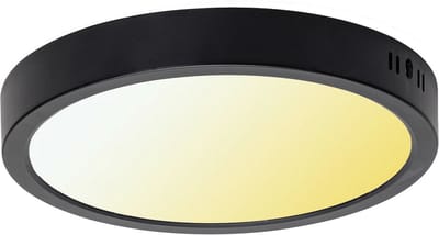 MILENA - Led Plafondlamp - Zwart kleur - opbouwlamp - 36w - CCT - Aanpasbare licht kleuren 3000K,4000K,6000K - 3600Lumen - Rond - 290 mm